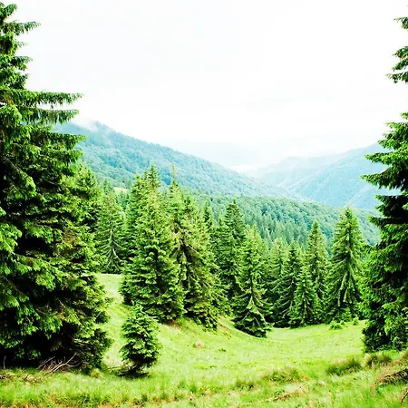 Gasthof Agio