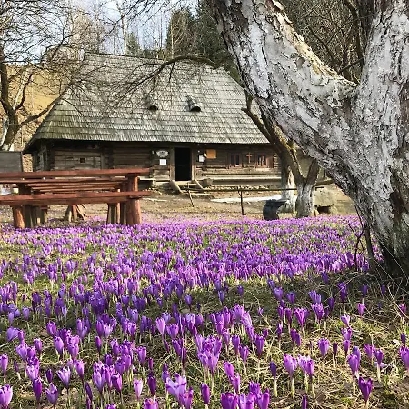 Gasthof Agio 2*