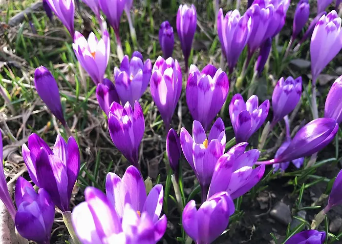 Penzion Agio Koločava
